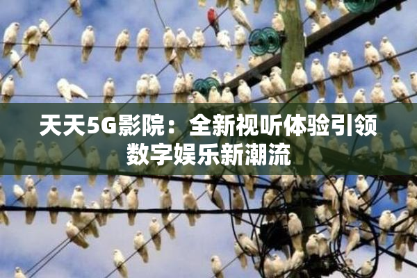 天天5G影院：全新视听体验引领数字娱乐新潮流