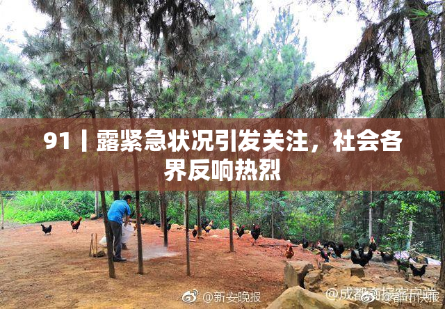91丨露紧急状况引发关注，社会各界反响热烈