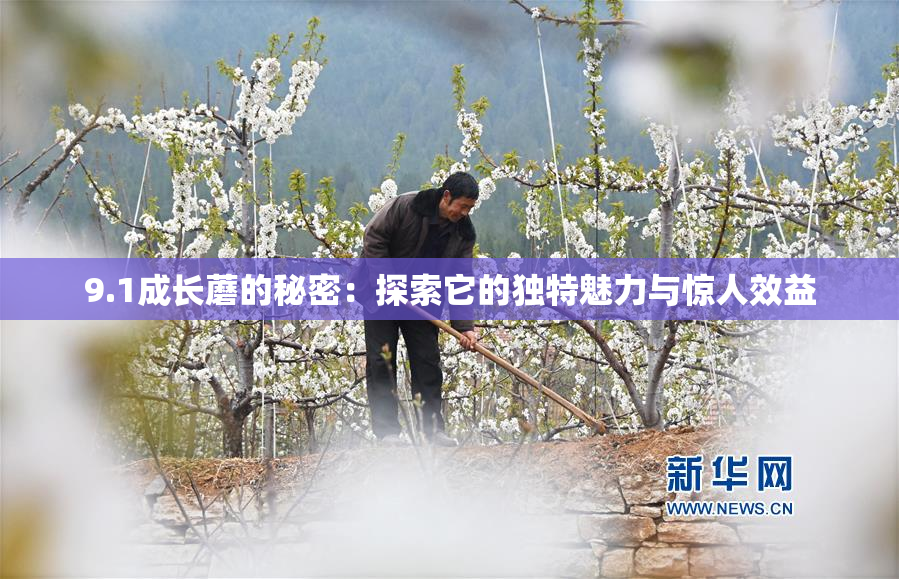 9.1成长蘑的秘密：探索它的独特魅力与惊人效益