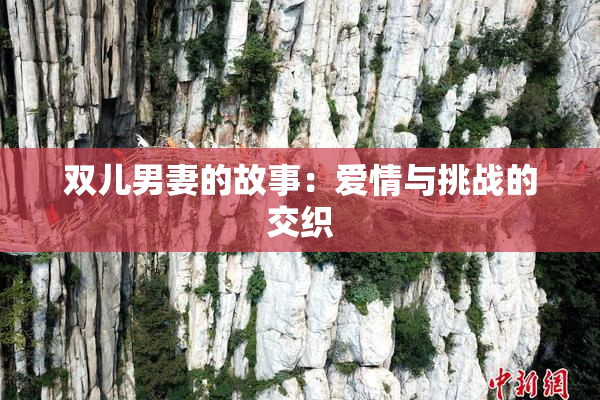 双儿男妻的故事：爱情与挑战的交织