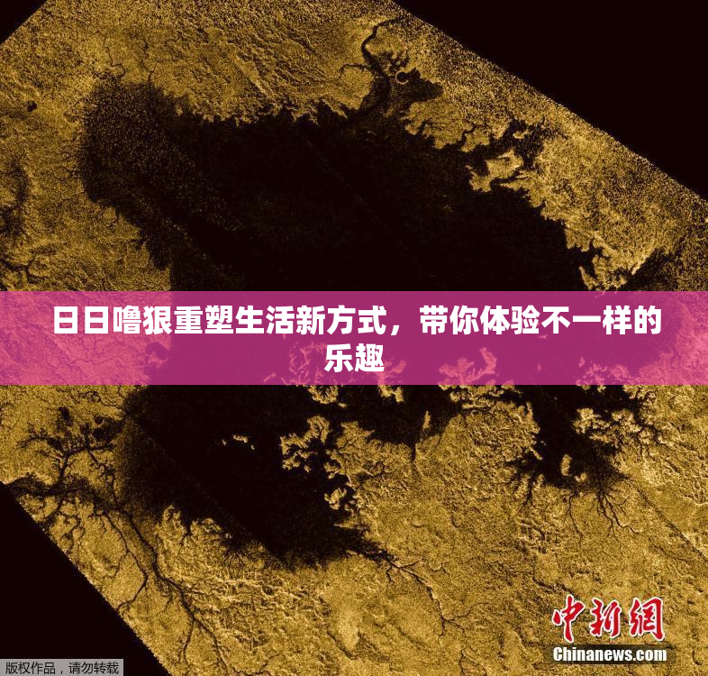 日日噜狠重塑生活新方式，带你体验不一样的乐趣