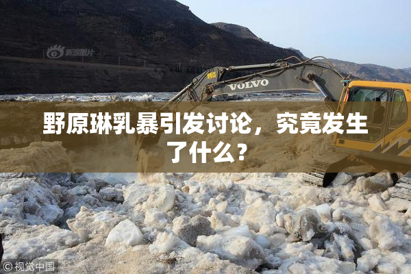 野原琳乳暴引发讨论，究竟发生了什么？