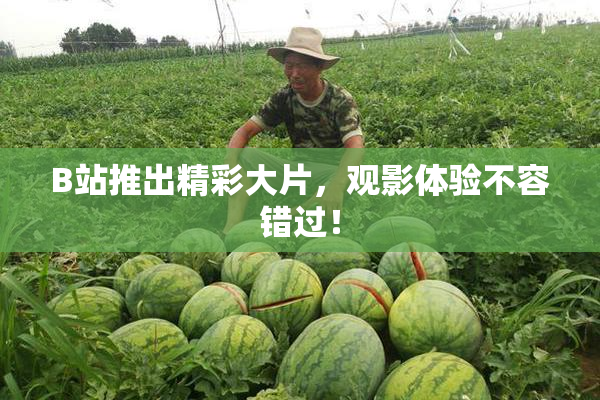 B站推出精彩大片，观影体验不容错过！