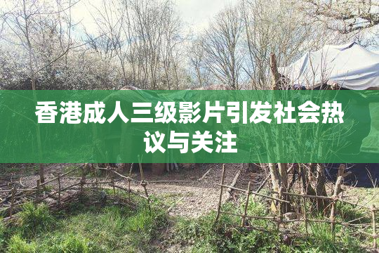 香港成人三级影片引发社会热议与关注