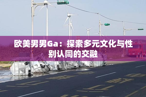 欧美男男Ga：探索多元文化与性别认同的交融