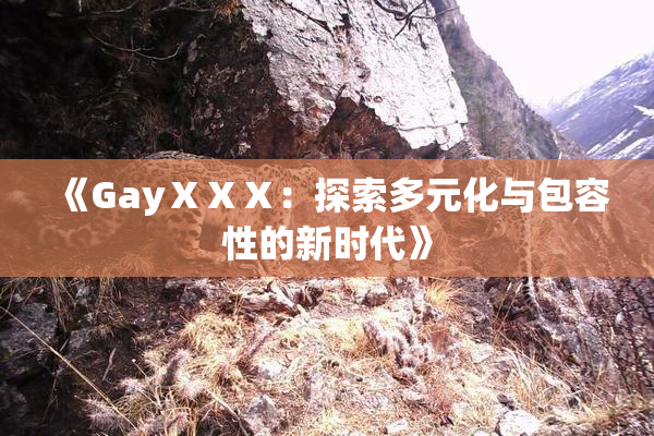 《GayⅩⅩⅩ：探索多元化与包容性的新时代》
