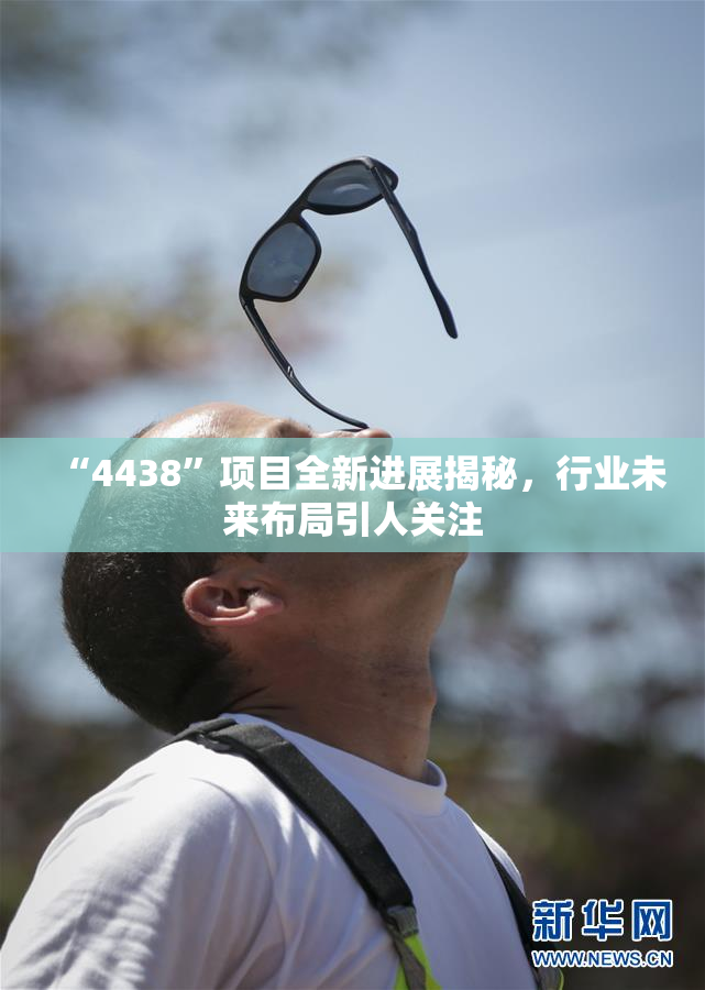 “4438”项目全新进展揭秘，行业未来布局引人关注
