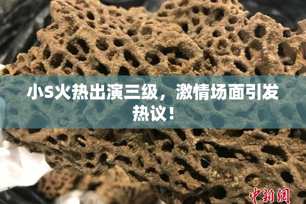 小S火热出演三级，激情场面引发热议！