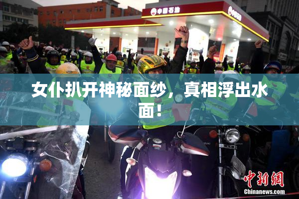 女仆扒开神秘面纱，真相浮出水面！