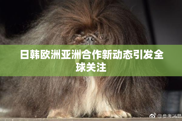 日韩欧洲亚洲合作新动态引发全球关注