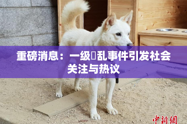 重磅消息：一级婬乱事件引发社会关注与热议