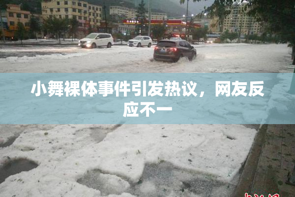 小舞裸体事件引发热议，网友反应不一