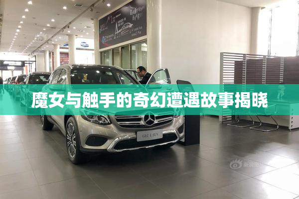 魔女与触手的奇幻遭遇故事揭晓