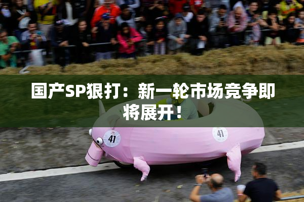 国产SP狠打：新一轮市场竞争即将展开！