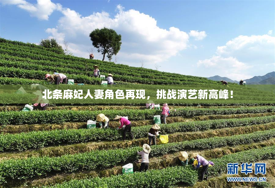 北条麻妃人妻角色再现，挑战演艺新高峰！