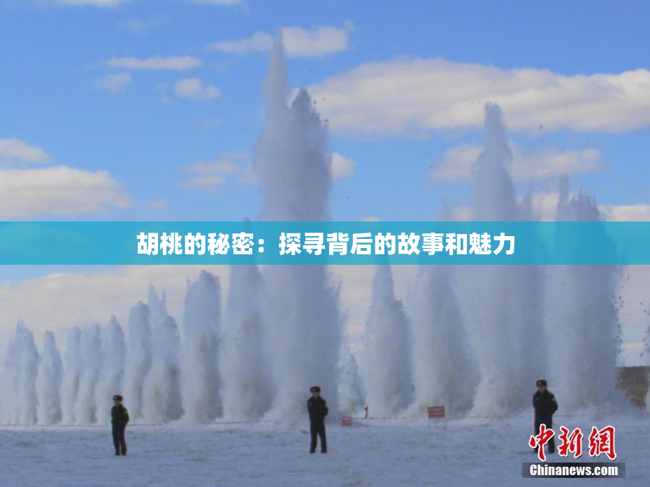 胡桃的秘密：探寻背后的故事和魅力