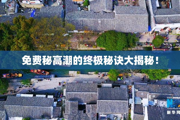 免费秘高潮的终极秘诀大揭秘！