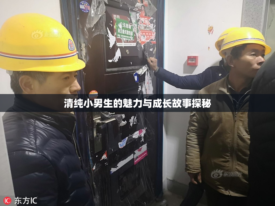 清纯小男生的魅力与成长故事探秘