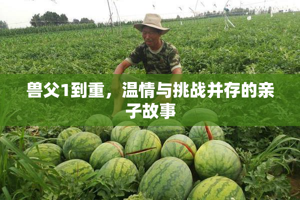 兽父1到重，温情与挑战并存的亲子故事