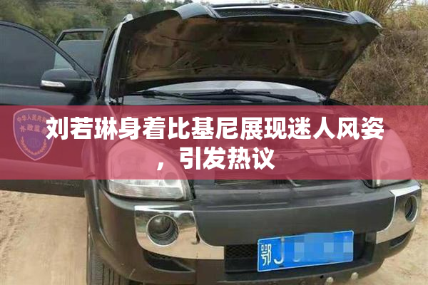 刘若琳身着比基尼展现迷人风姿，引发热议