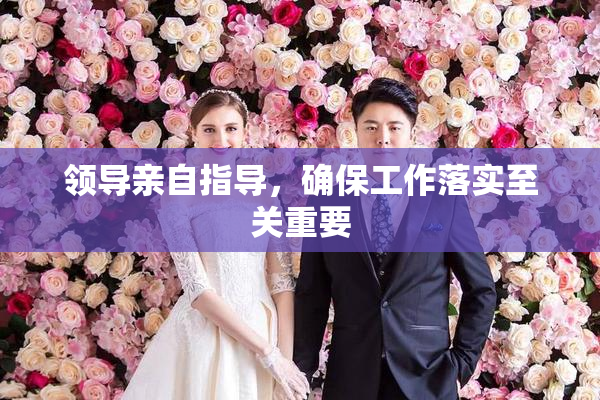 领导亲自指导，确保工作落实至关重要