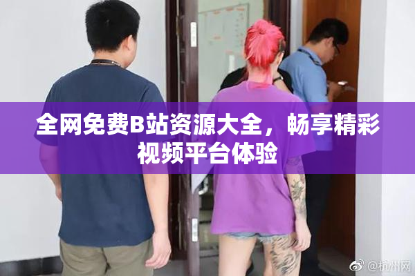 全网免费B站资源大全，畅享精彩视频平台体验