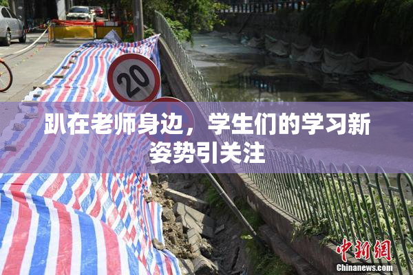 趴在老师身边，学生们的学习新姿势引关注