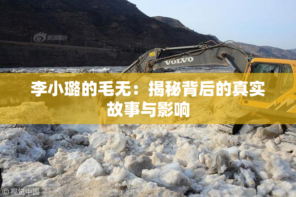 李小璐的毛无：揭秘背后的真实故事与影响