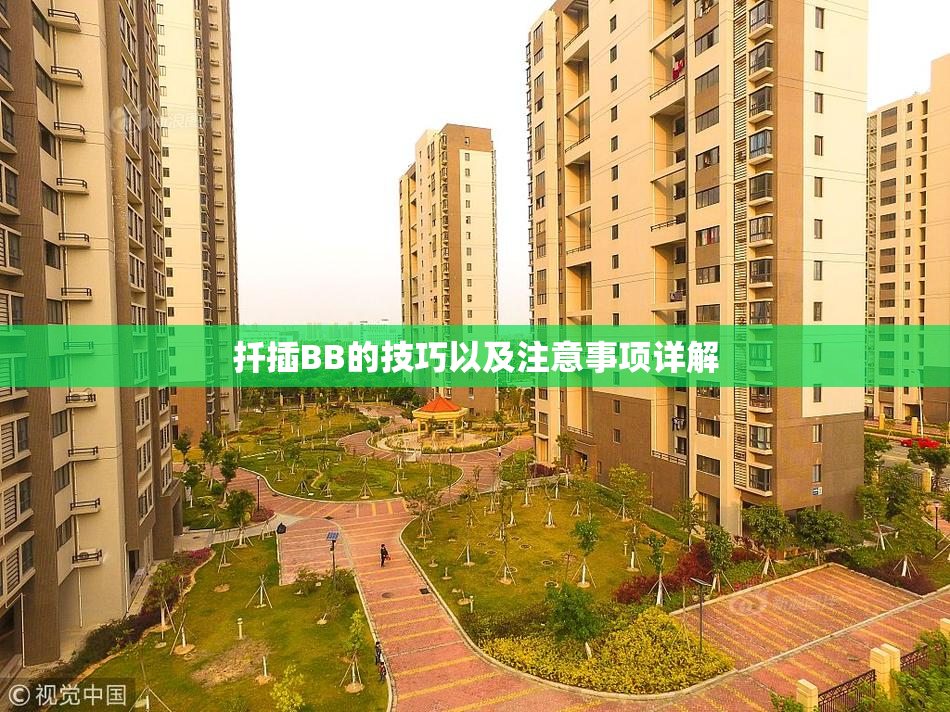 扦插BB的技巧以及注意事项详解