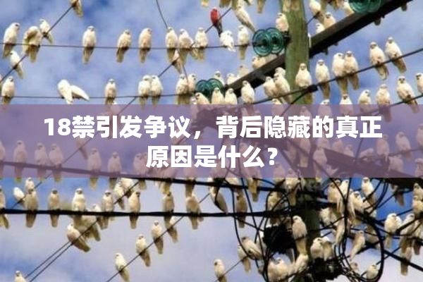 18禁引发争议，背后隐藏的真正原因是什么？