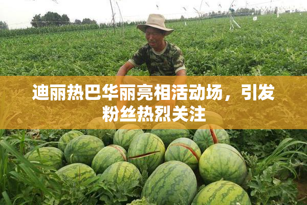 迪丽热巴华丽亮相活动场，引发粉丝热烈关注