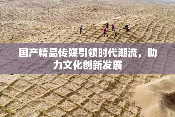 国产精品传媒引领时代潮流，助力文化创新发展
