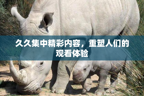 久久集中精彩内容，重塑人们的观看体验