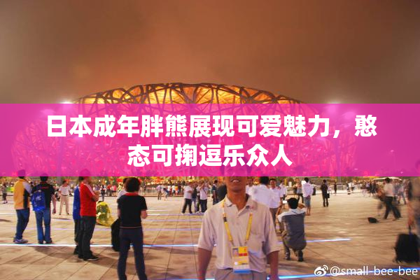 日本成年胖熊展现可爱魅力，憨态可掬逗乐众人