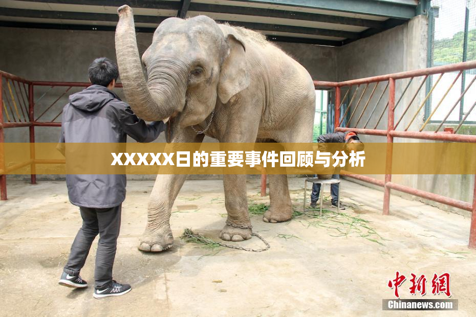XXXXX日的重要事件回顾与分析