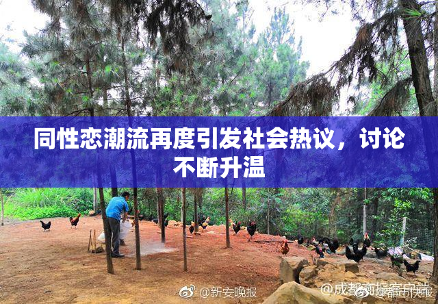 同性恋潮流再度引发社会热议，讨论不断升温