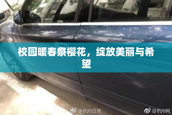 校园暖春祭樱花，绽放美丽与希望