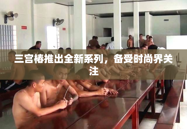 三宫椿推出全新系列，备受时尚界关注