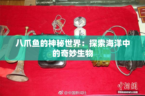 八爪鱼的神秘世界：探索海洋中的奇妙生物