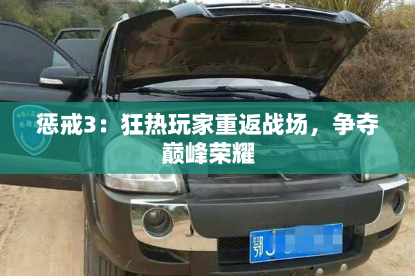 惩戒3：狂热玩家重返战场，争夺巅峰荣耀