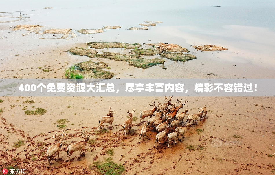 400个免费资源大汇总，尽享丰富内容，精彩不容错过！