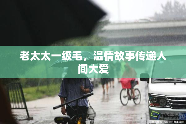 老太太一级毛，温情故事传递人间大爱