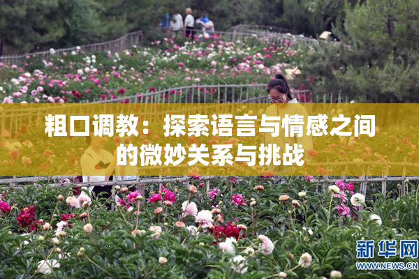 粗口调教：探索语言与情感之间的微妙关系与挑战