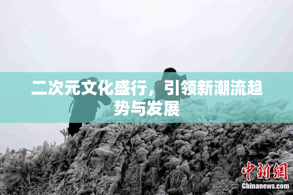 二次元文化盛行，引领新潮流趋势与发展