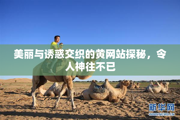 美丽与诱惑交织的黄网站探秘，令人神往不已
