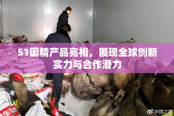 51国精产品亮相，展现全球创新实力与合作潜力