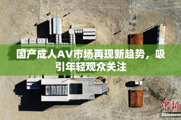 国产成人AV市场再现新趋势，吸引年轻观众关注