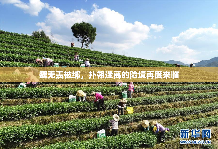 魏无羡被绑，扑朔迷离的险境再度来临