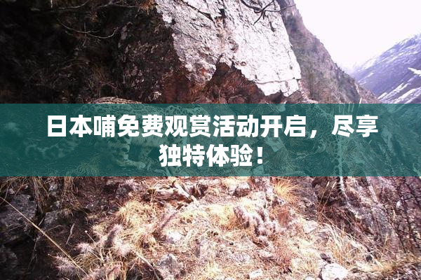 日本哺免费观赏活动开启，尽享独特体验！