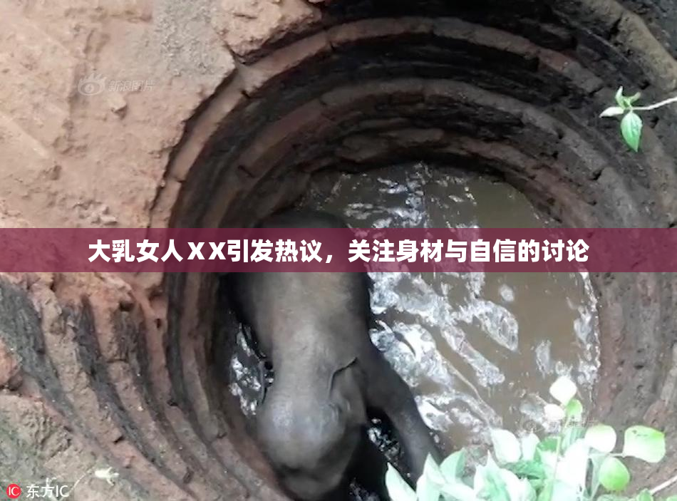 大乳女人ⅩX引发热议，关注身材与自信的讨论